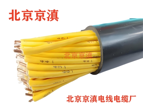 ZRA-KVVP2-22 控制电缆